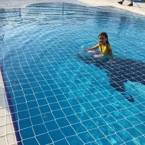 Havuz Güvenlik Filesi