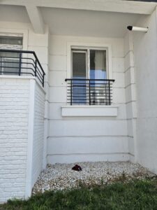 Kedi Güvenlik Filesi-10