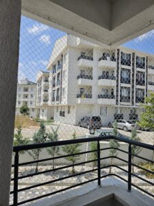 Kedi Güvenlik Filesi-11