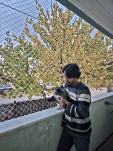 Kedi Güvenlik Filesi-5