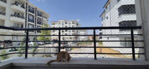 Kedi Güvenlik Filesi-9